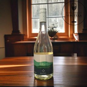 Kamarás Mondén Zöld Veltelíni 2024