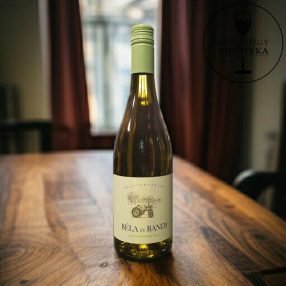 Béla és Bandi Sauvignon Blanc 2024